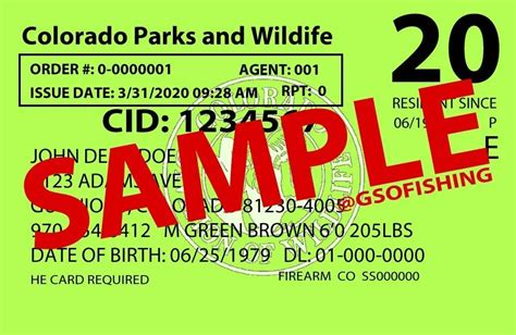 colorado fishing license non resident online|colorado state fishing license cost.